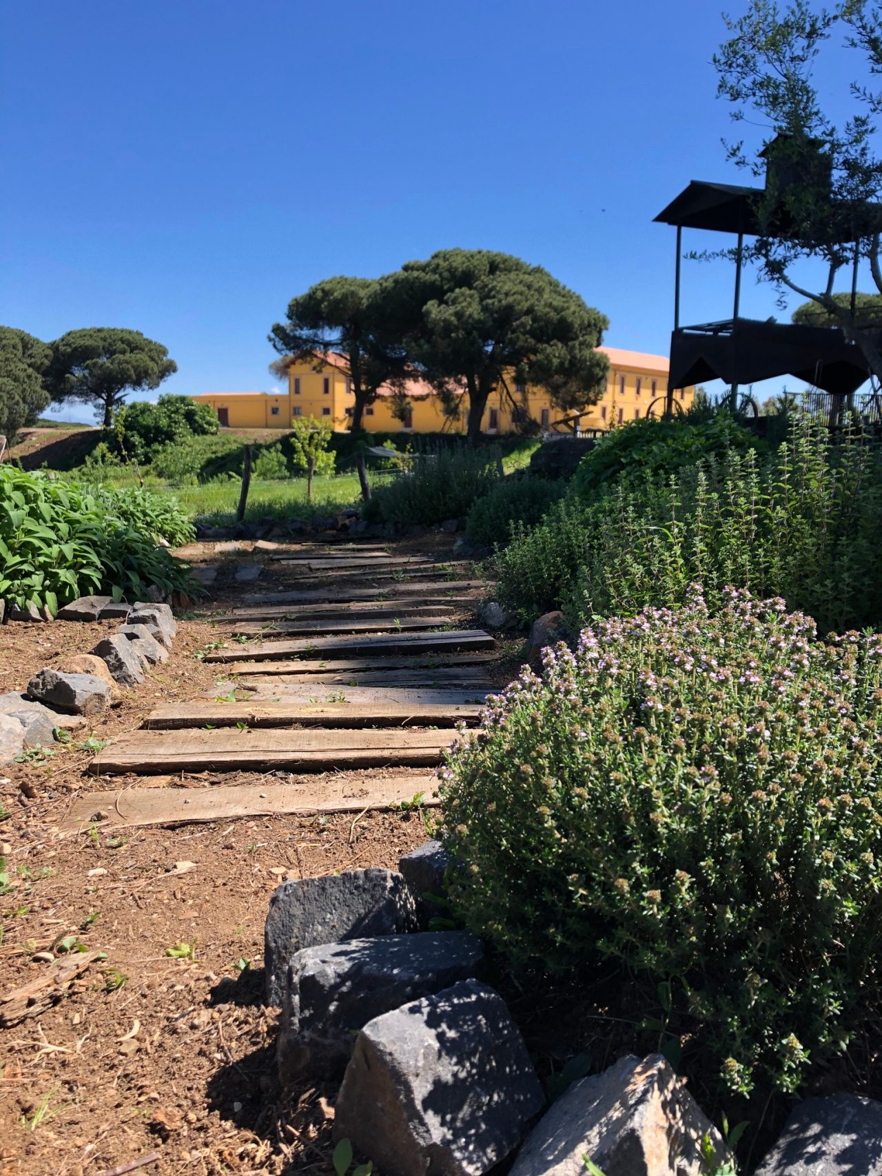 A pathway leading past lush trees and bushes to an orange building on the agricultural estate