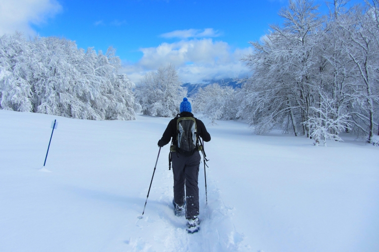 A person snowshoes through the Jura Mountains