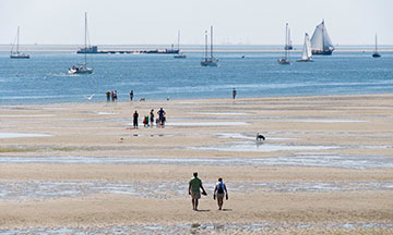 netherlands-groningen-wadden-sea-beach